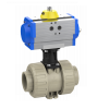 Praher 2-way Ball Valve M1 PP